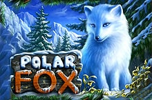 polarfox